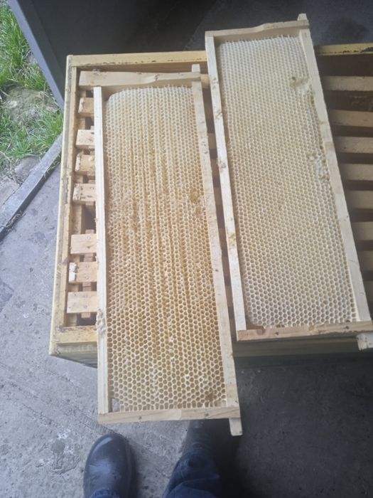 Продам 50 вуликів з рамками