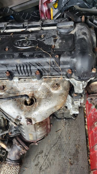 Silnik 1.6 benzyna 126KM 2011r Kia Ceed