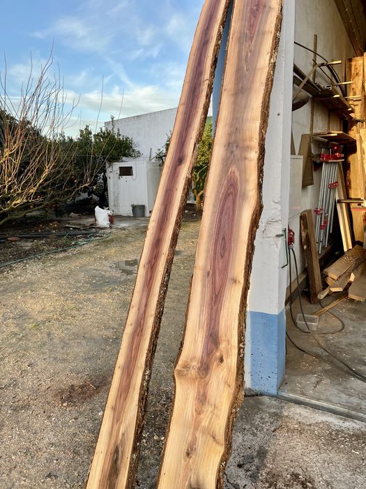 Nogueiro portugues. Pranchas de madeira.