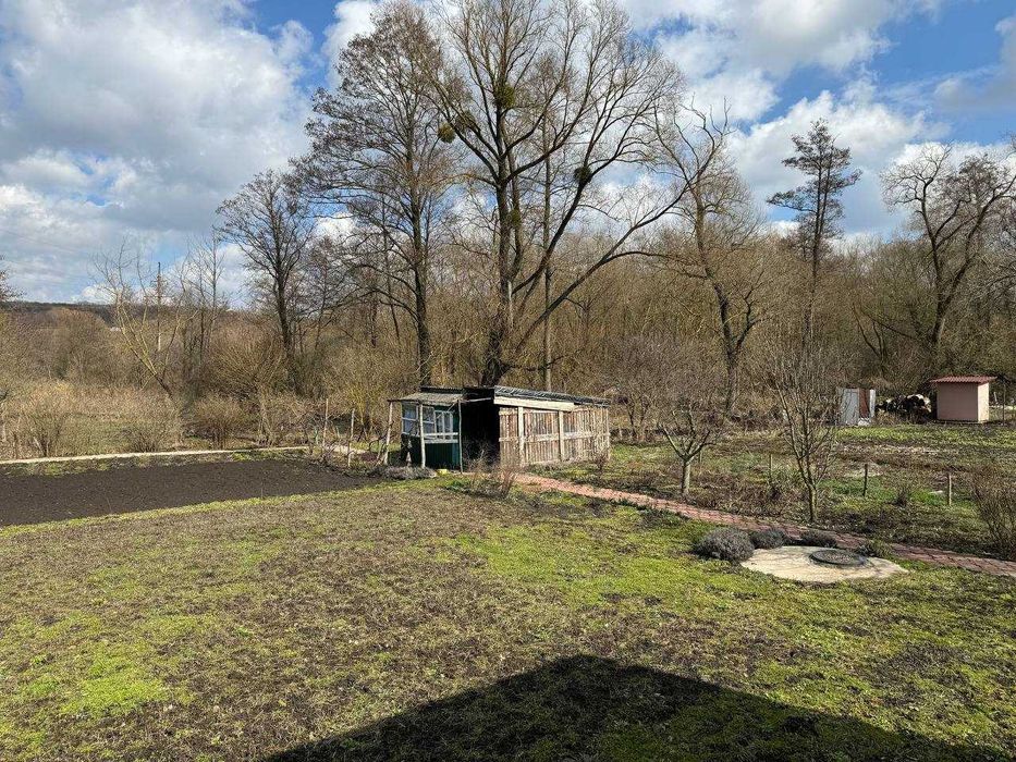 Лезнево Надія -3 вихід до лісу