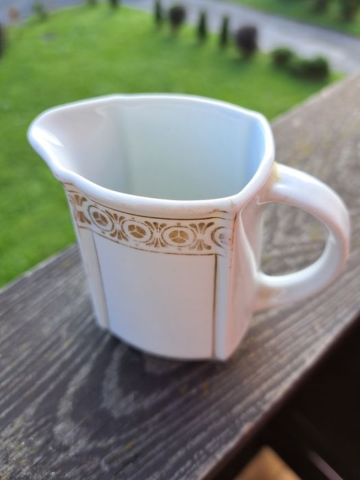 Mlecznik porcelanowy