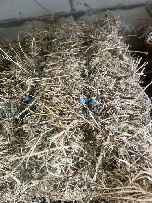 Люцерква в тюках