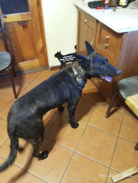 Kto pokocha cudownego Czarusia