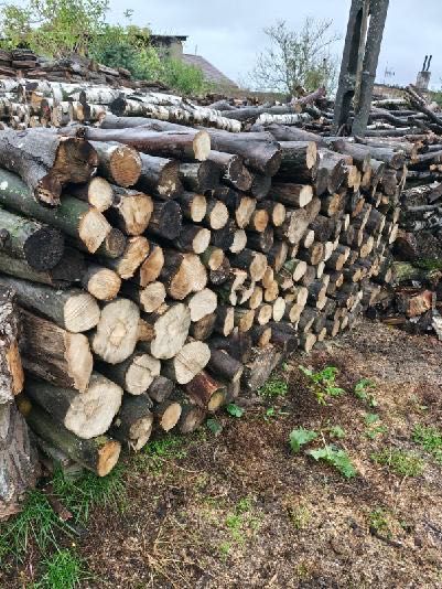 Sprzedam drewno opałowe