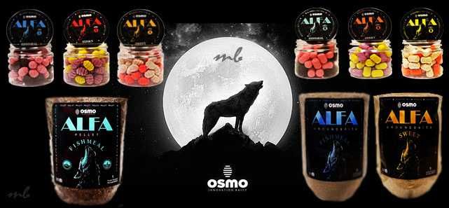 Zestaw 3w1 OSMO Alfa SWEET Zanęta 800g+Dumbells 10mm+Wafters Larwa 8mm