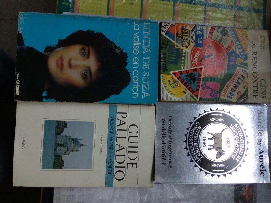 Vários títulos Francês La Valise en Carton