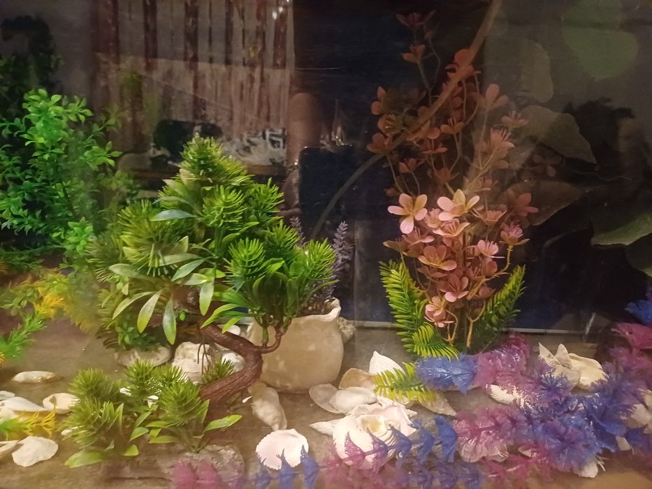 Akwarium na rybki 120l