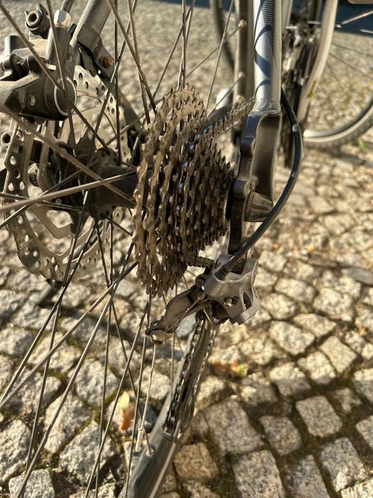 Rower męskie  KELLYS