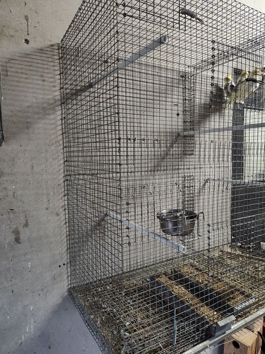 Viveiro grande bom estado