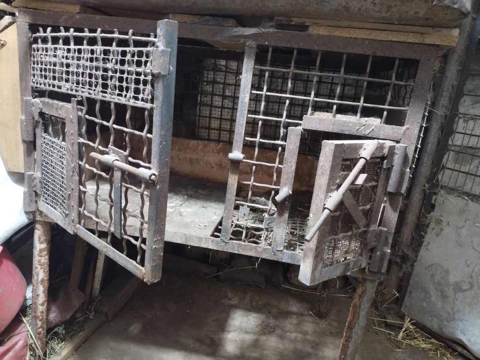 Клітки для кролів, курей, нутрій