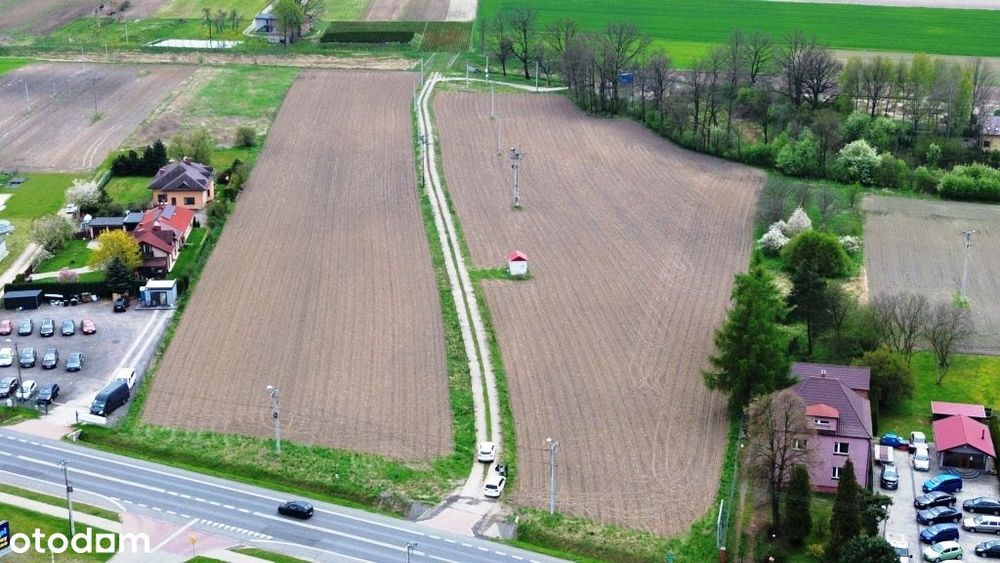 Działka budowlana Paniówki ul. Gliwicka - Widok 2
