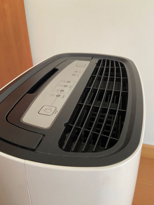 Desumidificador Rowenta Intense Dry Compact 16L
