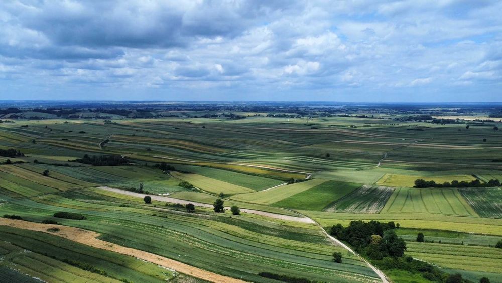 Działka budowlana Szczebrzeszyn - Widok 4