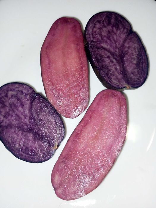 Картопля Солоха, Чорний либідь та Хортиця посадкова та для дієтичного харчування