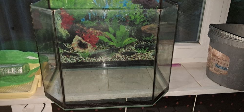 Акваріум на 65 л