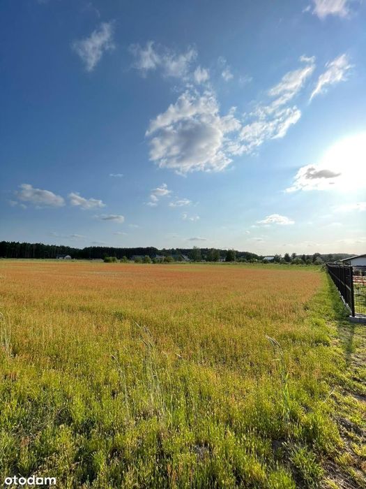 Sprzedam działki w sąsiedztwie lasu.