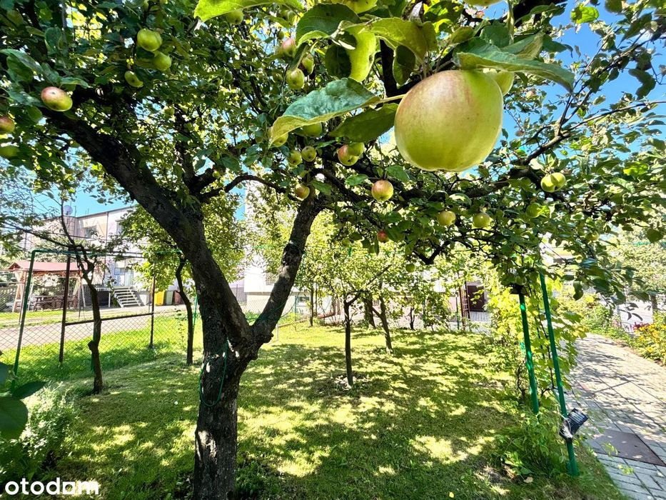 Na sprzedaż Gniezno- Dalki 1/2 bliźniaka 74m2 działka 350m2