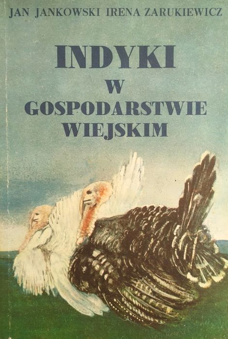 Indyki W Gospodarstwie Wiejskim Jan Jankowski