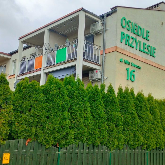 Zdjęcie 7
