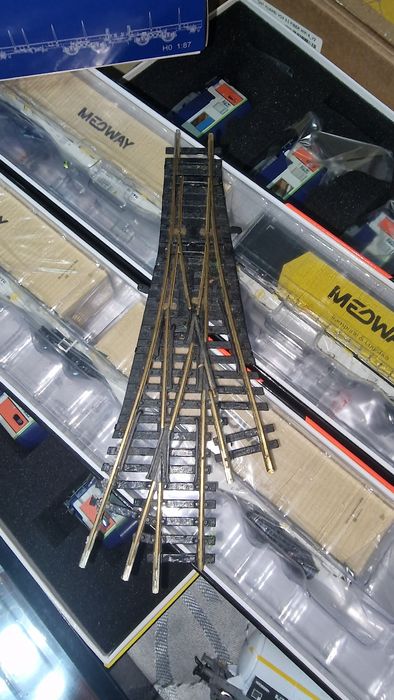 Vagon tranfesa com automoveis