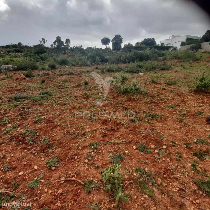 4 Rustic Plots in Alecrineira-Cerro Azul