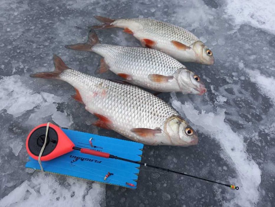 Микало (гірлянда) зимова снасть