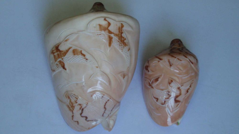 Ракушки с дельфинами