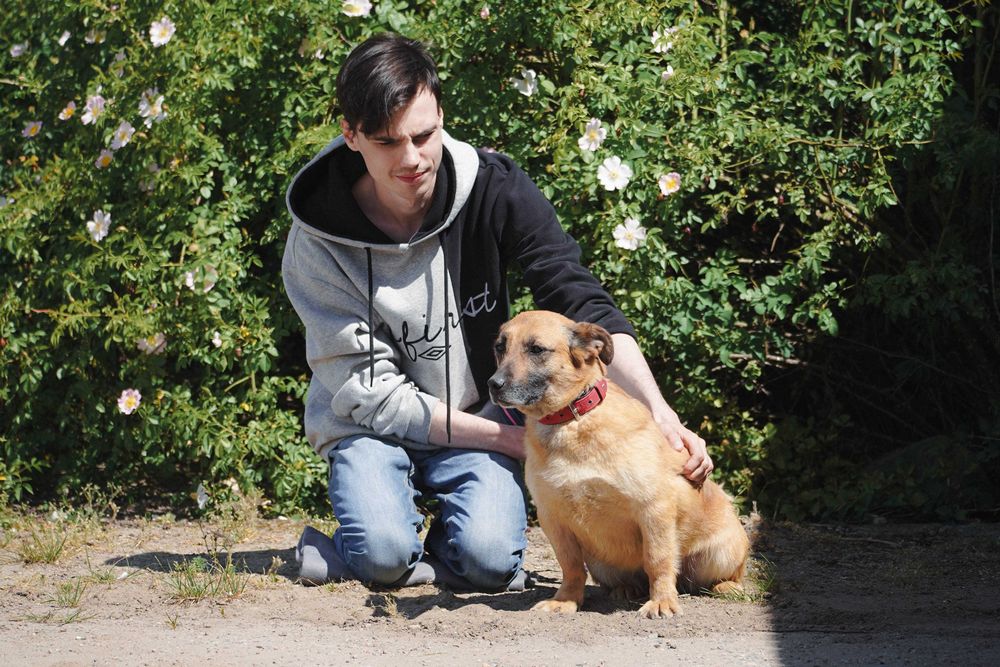 Aurora - niewielka, łagodna sunia szuka domu