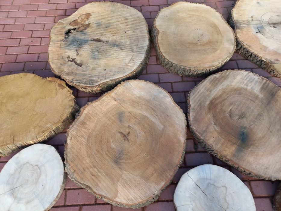 Plaster drewna duże splanowane