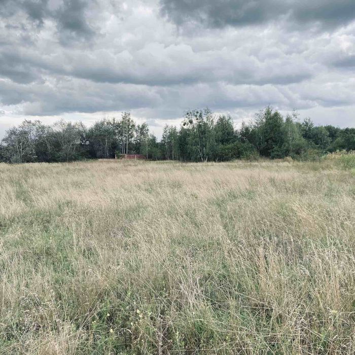 Продаетя 25 сот с. Воропаев Вышгородский р-н.