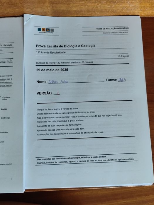 Testes Ribadouro Biologia e Geologia