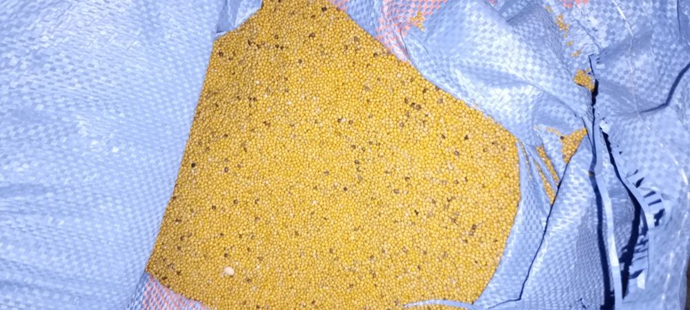 Gryka, płaskurka, owies, gorczyca , ziemniaki, nostrzyk, EKO, BIO