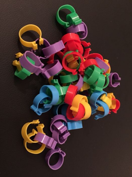 20 anilhas galinha 20mm