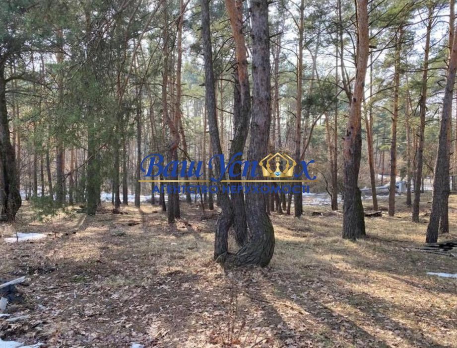 Продажа земли в лесу с коммуникациями село Плюты. Конча-Заспа.