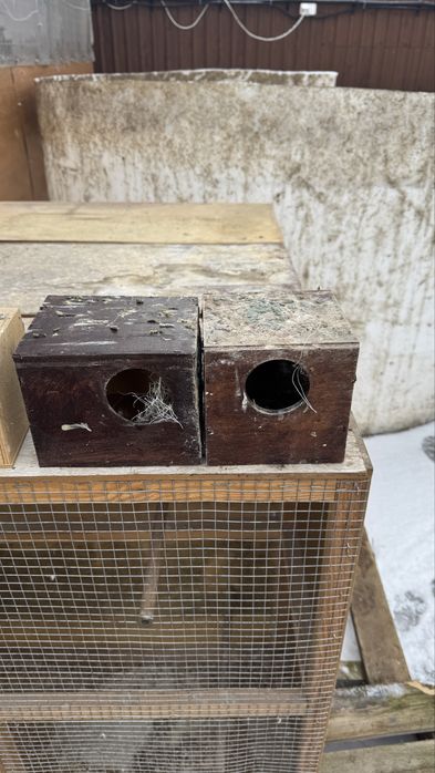 Budki legowe dla papug