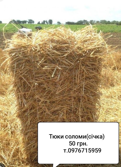 Продам тюки соломи