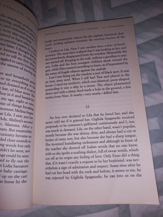 Книга англійською Elena Ferrante My Brilliant Fr