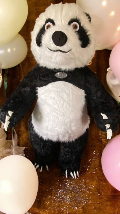 Стриптизер, стриптизерша, ведмідь, панда, зайка, капібара