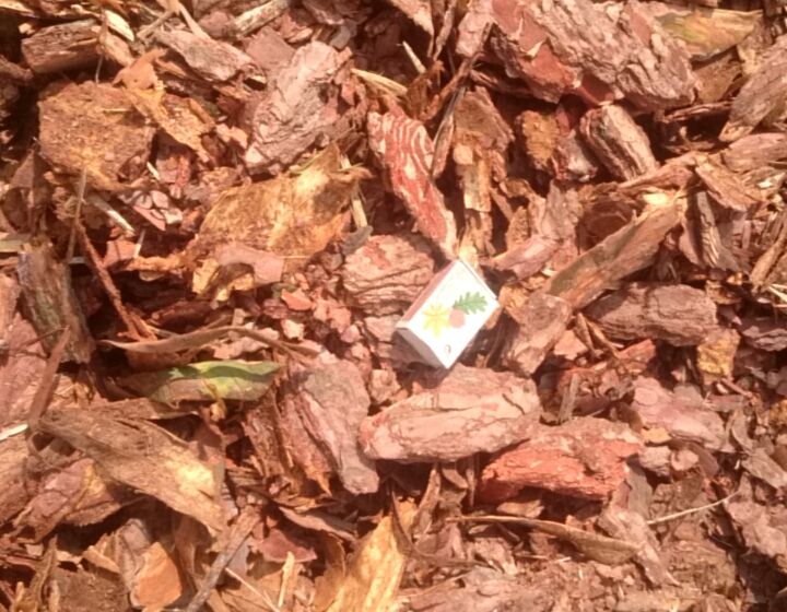 Kora sosnowa gruba dekoracyjna ozdobna ogrodowa