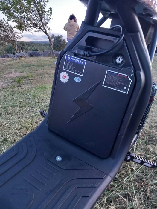 Citycoco - Electrica - Elegante -Ecologica 1500w