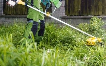 Косіння трави. Зрізання дерев.