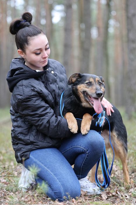 Piesek okolo 9 lat