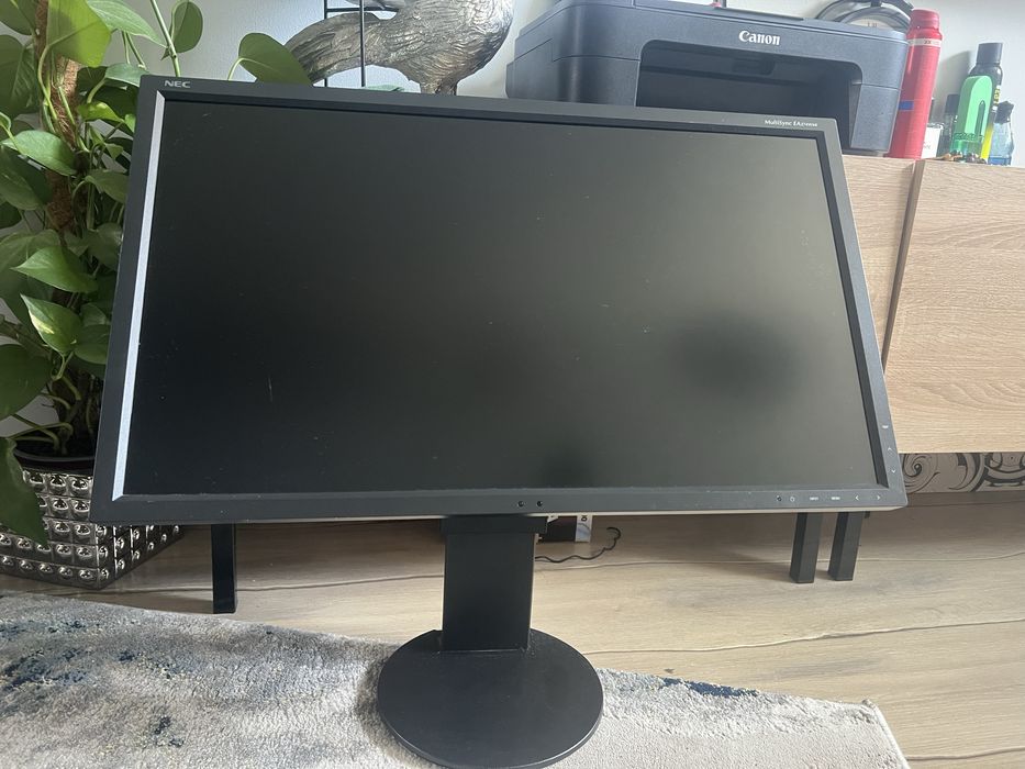 Monitor nec multisync