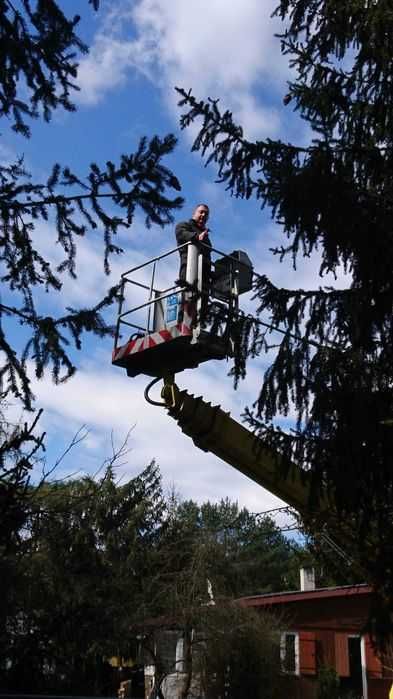 Wycinka pielęgnacja drzew