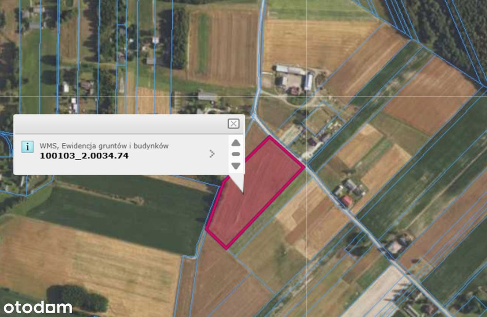 Zarządca sanacyjny sprzeda - działka nr 74, 2/3