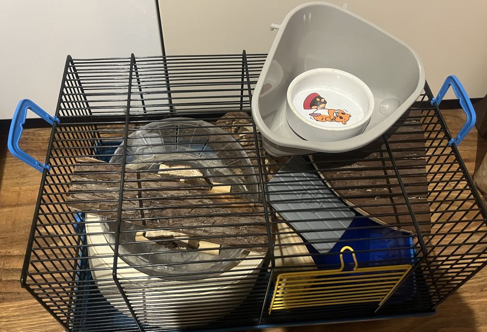 Klatka dla chomika, gryzoni