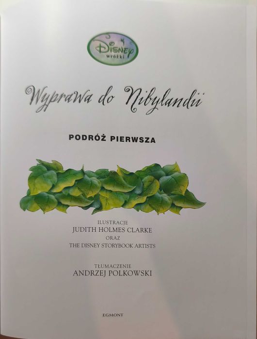 Disney Wróżki. Wyprawa do Nibylandii
