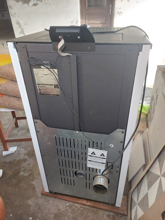 Salamandra como nova