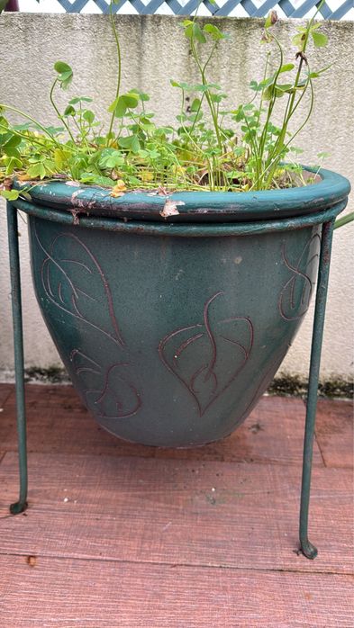 Planta com vaso e suporte