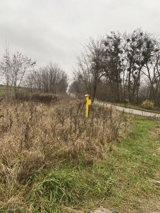 Хотів, Чабани, земельна ділянка, ЖК Затишний
